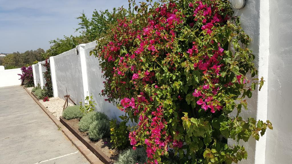 La Posada Del Duende Arcos de la Frontera Luaran gambar